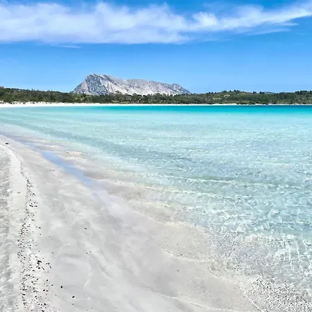 Nautilus Suites&rooms Olbia