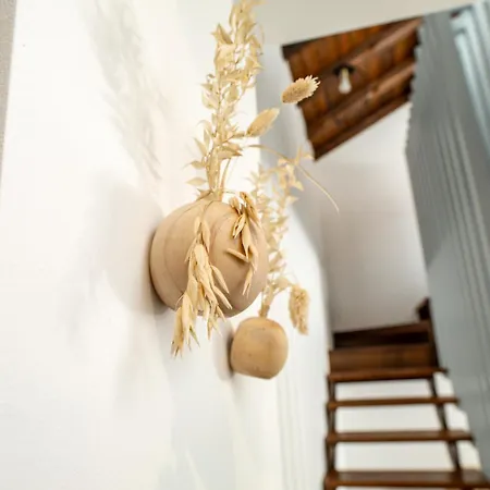 Séjour chez l'habitant Nautilus Suites&rooms *