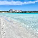 Nautilus & Olbia