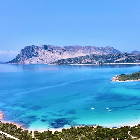 Homestay Nautilus &
