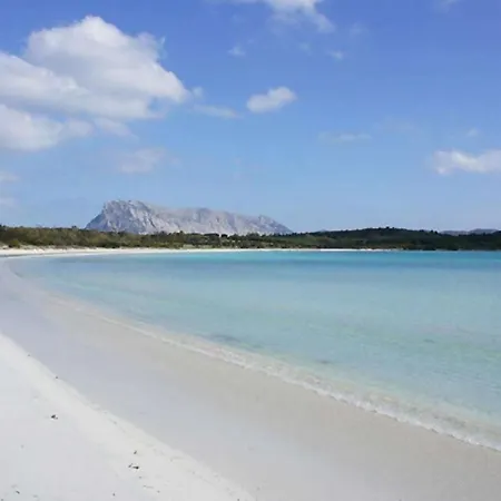 Homestay Nautilus &