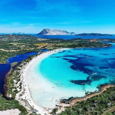 Nautilus & * Olbia