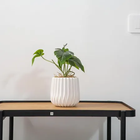 Nautilus & * 奧爾比亞