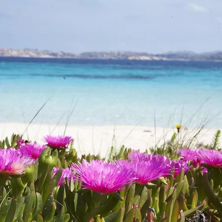 Homestay Nautilus &